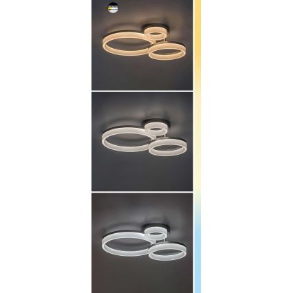 Rabalux - LED plafonsko svetlo LED/24W/230V 3000/4000/6500K 38x51 cm mat hrom