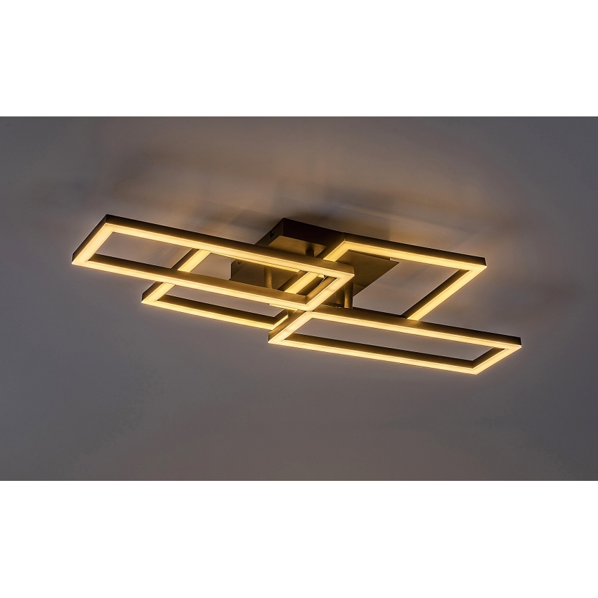 Rabalux - LED prigušiva plafonsko svetlo LED/40W/230V 3000-6500K 35x70 cm + daljinski upravljač