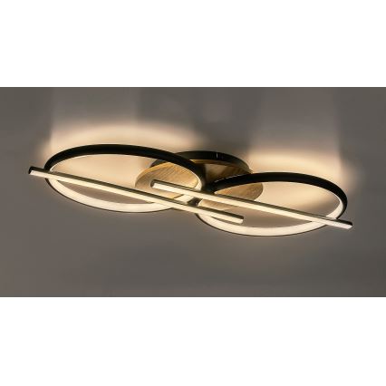 Rabalux - LED plafonsko svetlo LED/40W/230V 3000/4000/6500K