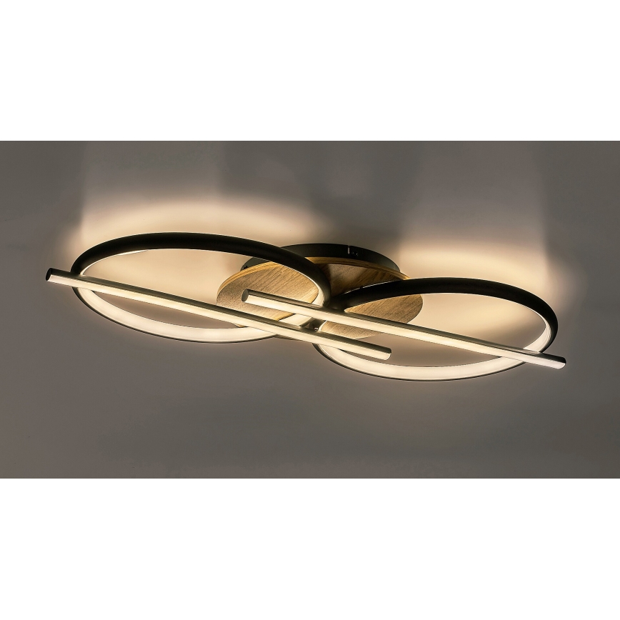 Rabalux - LED plafonsko svetlo LED/40W/230V 3000/4000/6500K