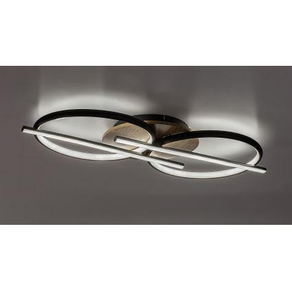 Rabalux - LED plafonsko svetlo LED/40W/230V 3000/4000/6500K