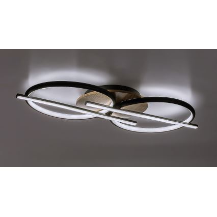 Rabalux - LED plafonsko svetlo LED/40W/230V 3000/4000/6500K