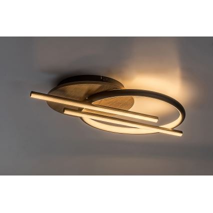 Rabalux - LED plafonsko svetlo LED/40W/230V 3000/4000/6500K