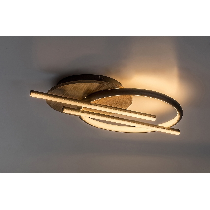 Rabalux - LED plafonsko svetlo LED/40W/230V 3000/4000/6500K