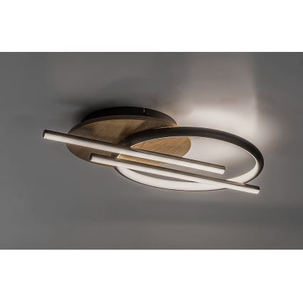 Rabalux - LED plafonsko svetlo LED/40W/230V 3000/4000/6500K