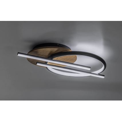 Rabalux - LED plafonsko svetlo LED/40W/230V 3000/4000/6500K