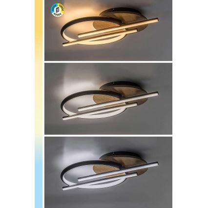 Rabalux - LED plafonsko svetlo LED/40W/230V 3000/4000/6500K