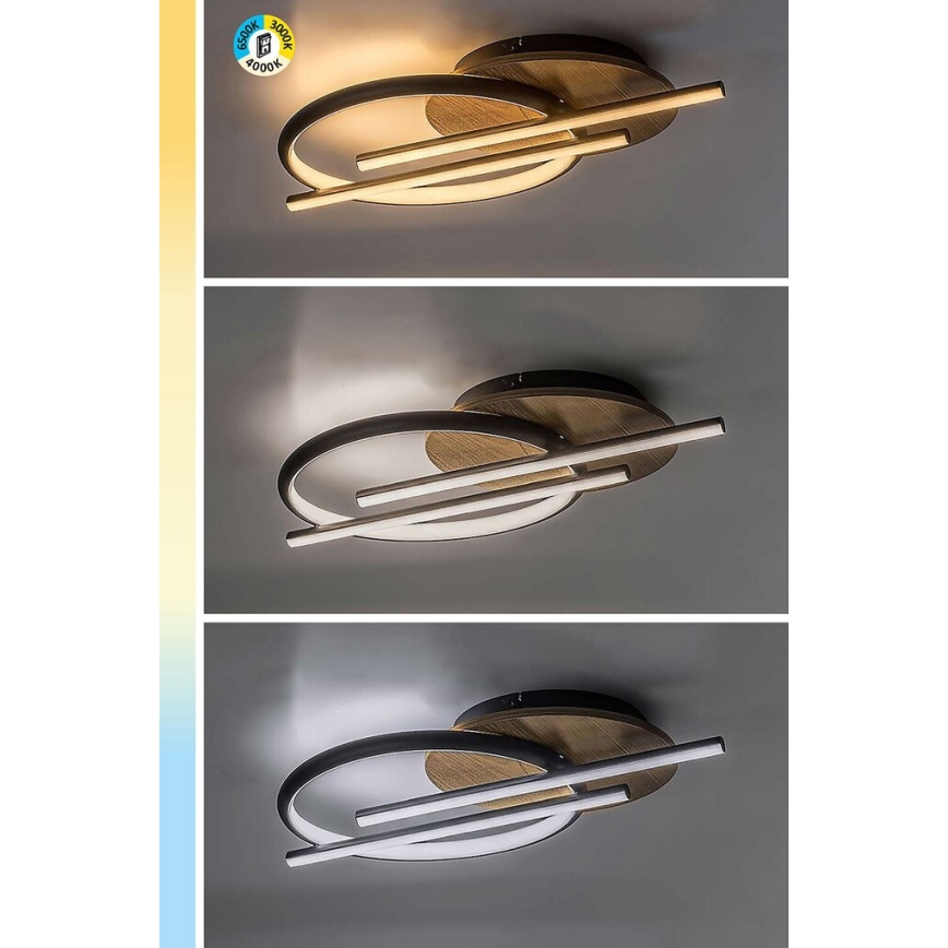 Rabalux - LED plafonsko svetlo LED/40W/230V 3000/4000/6500K