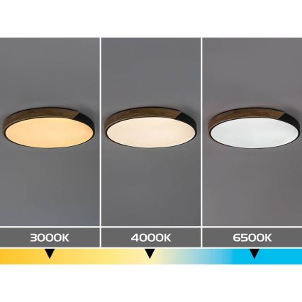 Rabalux - LED stropna svetiljka LED/42W/230V 3000/4000/6500K crna/hrast prečnik 61 cm