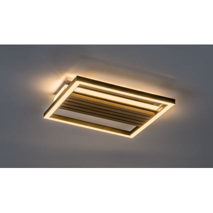 Rabalux - LED plafonsko svetlo LED/26W/230V 3000/4500/6000K