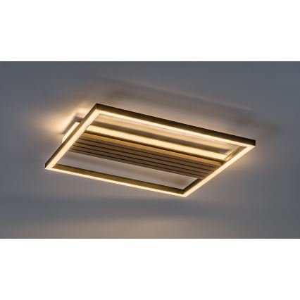 Rabalux - LED plafonsko svetlo LED/30W/230V 3000/4500/6000K