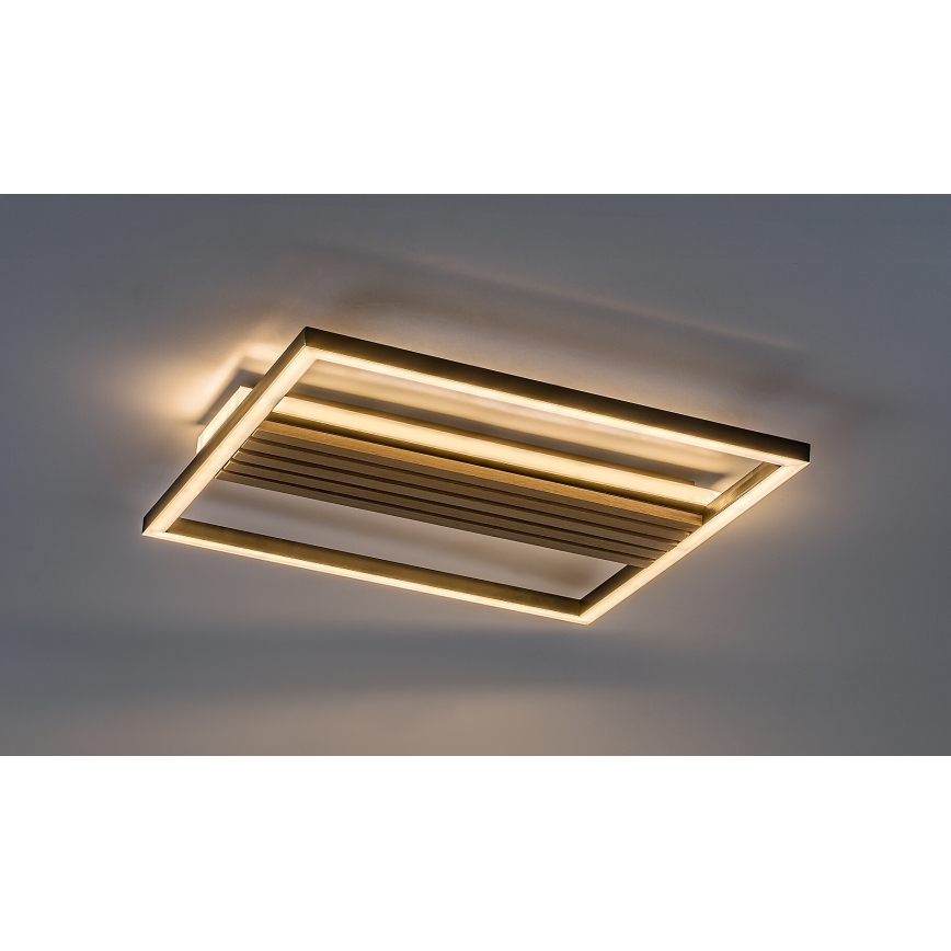 Rabalux - LED plafonsko svetlo LED/30W/230V 3000/4500/6000K