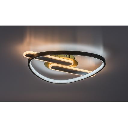 Rabalux - LED prigušiva stropna svetiljka LED/60W/230V 3000-6000K 53x45 cm + daljinski upravljač