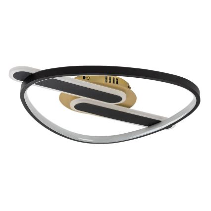 Rabalux - LED prigušiva stropna svetiljka LED/60W/230V 3000-6000K 53x45 cm + daljinski upravljač