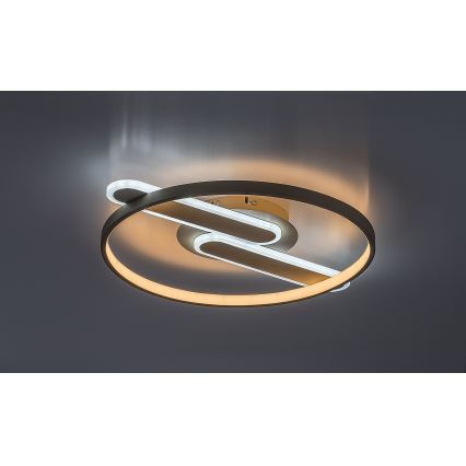 Rabalux - LED prigušiva stropna svetiljka LED/55W/230V 3000-6000K 53x45 cm + daljinski upravljač