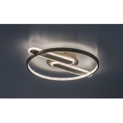 Rabalux - LED prigušiva stropna svetiljka LED/55W/230V 3000-6000K 53x45 cm + daljinski upravljač