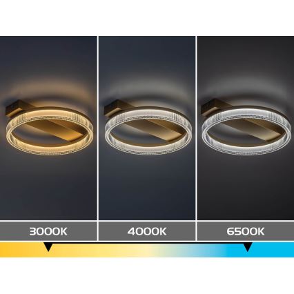 Rabalux - LED prigušiva plafonska svetiljka LED/18W/230V 3000-6500K 37x33 cm + daljinski upravljač