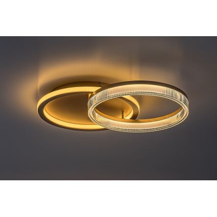 Rabalux - LED prigušiva stropna svetiljka LED/22W/230V 3000-6500K 53,5x35 cm + daljinski upravljač