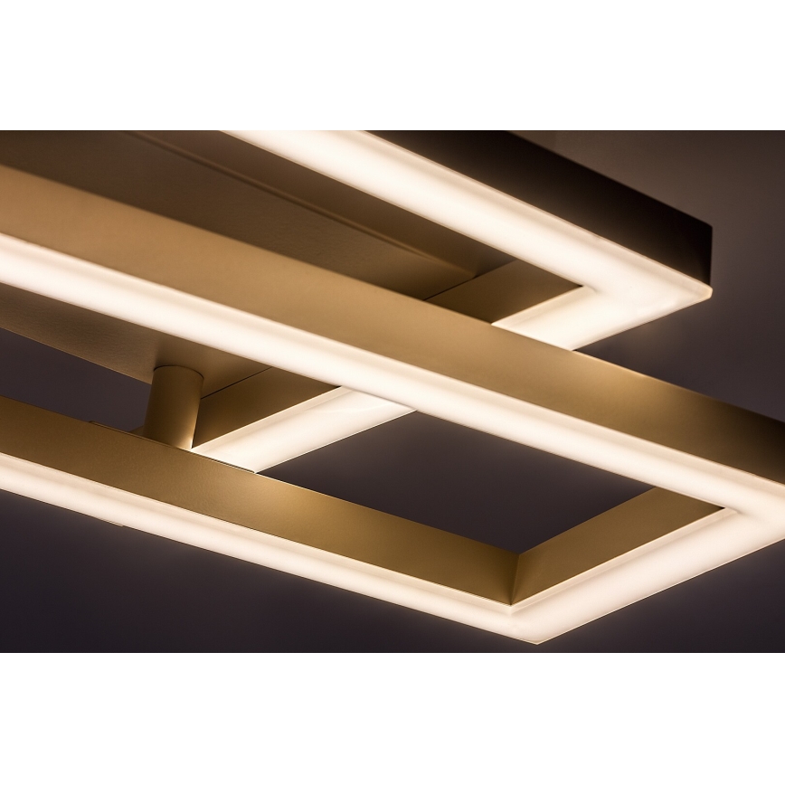Rabalux - LED stropna svetiljka LED/24W/230V 37x22,5 cm
