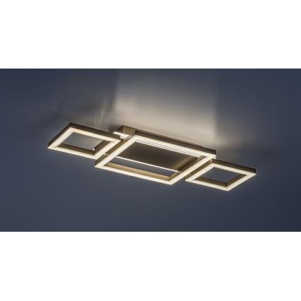 Rabalux - LED plafonjera LED/24W/230V 51,5x22 cm