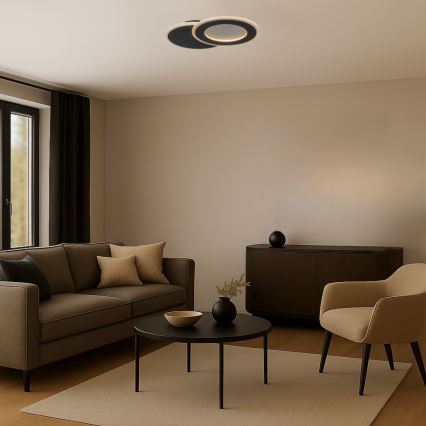 Rabalux - LED prigušiva plafonska svetiljka LED/24W/230V 3000-6500K 35x23 cm + daljinski upravljač