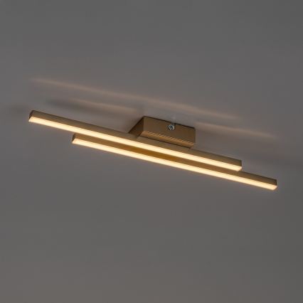 Rabalux - LED stropno svetlo LED/12W/230V 3000K zlatno
