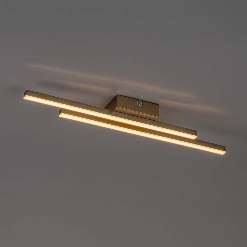 Rabalux - LED stropno svetlo LED/12W/230V 3000K zlatno