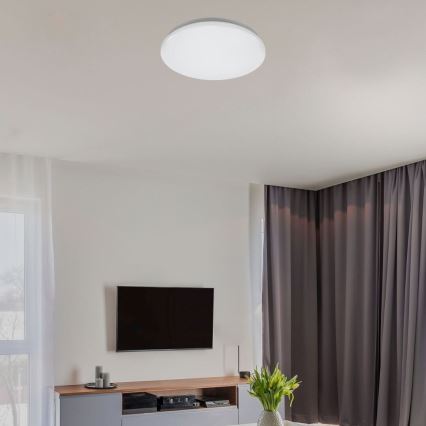 Rabalux - LED plafonsko svetlo LED/12W/230V 4000K prečnik 25,5 cm