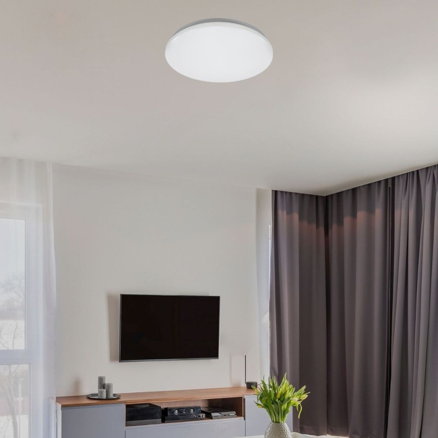 Rabalux - LED plafonsko svetlo LED/12W/230V 4000K prečnik 25,5 cm