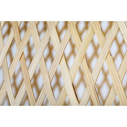 Rabalux - Viseći luster na sajli 1xE27/25W/230V ratan