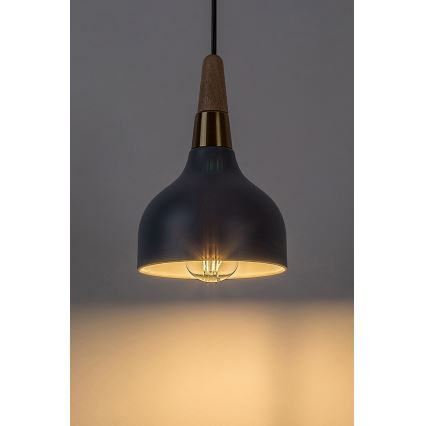 Rabalux - Luster na sajli 1xE27/40W/230V