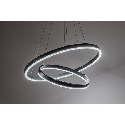 Rabalux - LED prigušiva viseći luster na sajli LED/80W/230V 3000-6500K + daljinski upravljač