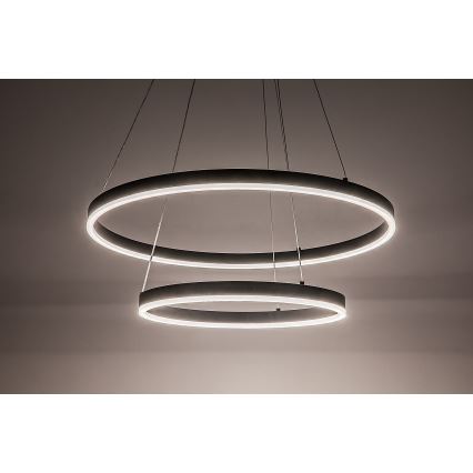 Rabalux - LED prigušiva viseći luster na sajli LED/80W/230V 3000-6500K + daljinski upravljač