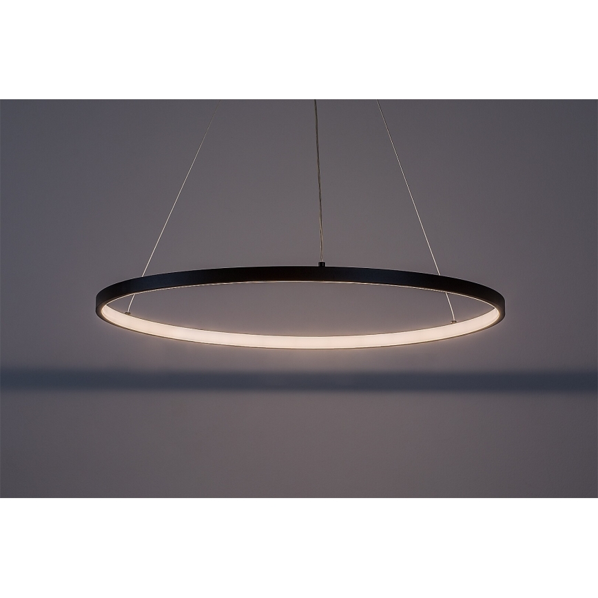 Rabalux - LED luster na sajli LED/55W/230V 3000K