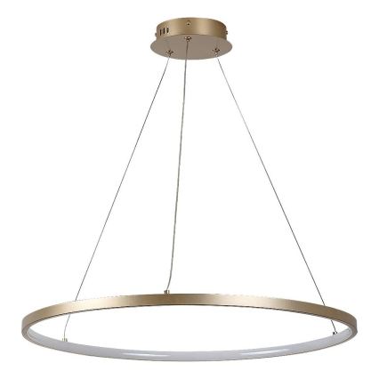 Rabalux - LED luster na sajli LED/55W/230V 3000K