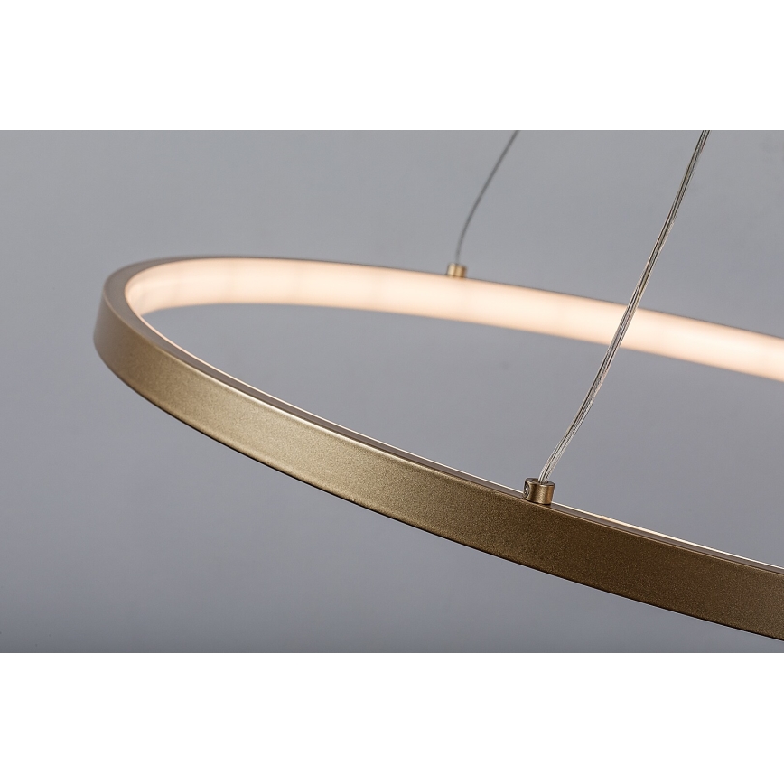 Rabalux - LED luster na sajli LED/55W/230V 3000K