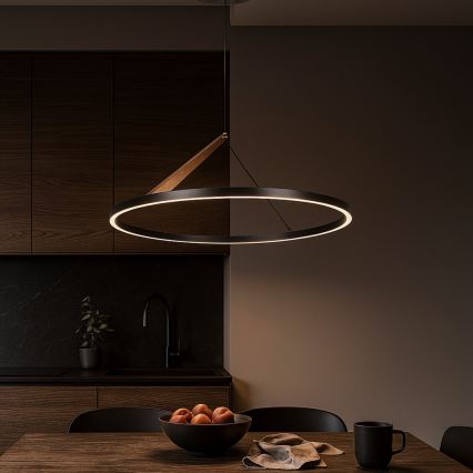 Rabalux - LED luster sa sajlom LED/40W/230V 3000K