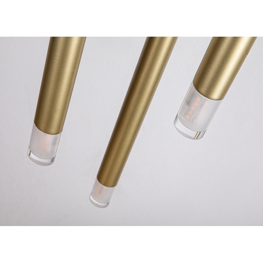 Rabalux - Luster na sajli 3xG9/5W/230V zlatna