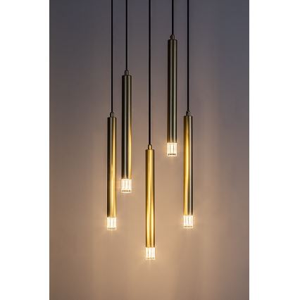 Rabalux - Zlatni luster na sajli 5xG9/5W/230V