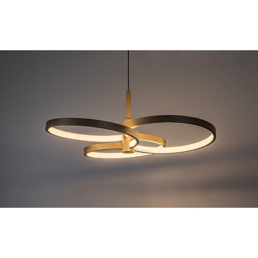Rabalux - LED prigušiva luster na sajli LED/50W/230V 3000-6500K + daljinski upravljač