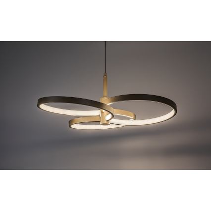 Rabalux - LED prigušiva luster na sajli LED/50W/230V 3000-6500K + daljinski upravljač