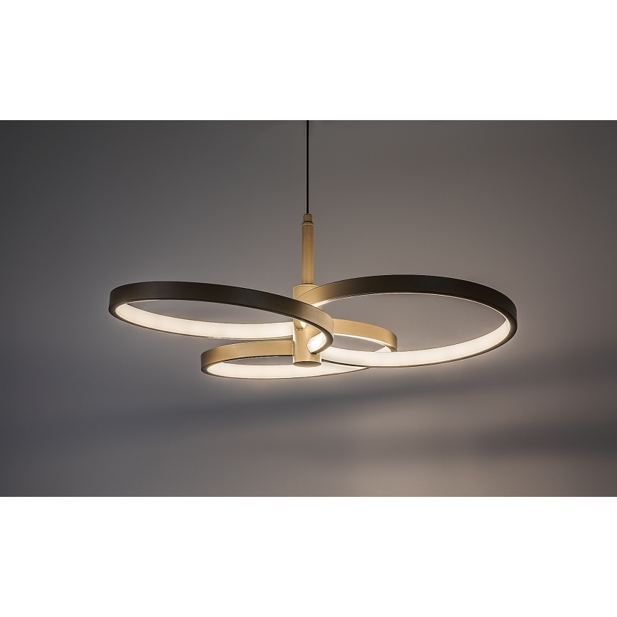 Rabalux - LED prigušiva luster na sajli LED/50W/230V 3000-6500K + daljinski upravljač