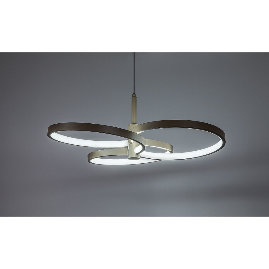 Rabalux - LED prigušiva luster na sajli LED/50W/230V 3000-6500K + daljinski upravljač