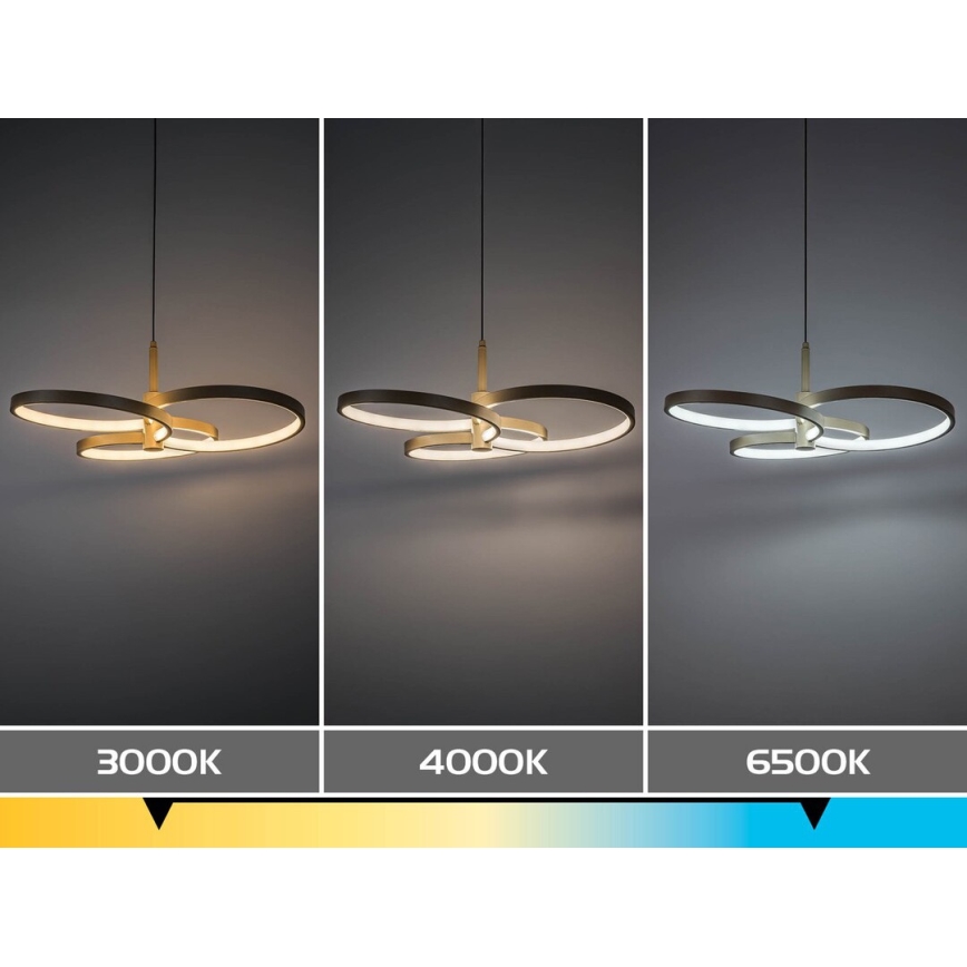 Rabalux - LED prigušiva luster na sajli LED/50W/230V 3000-6500K + daljinski upravljač