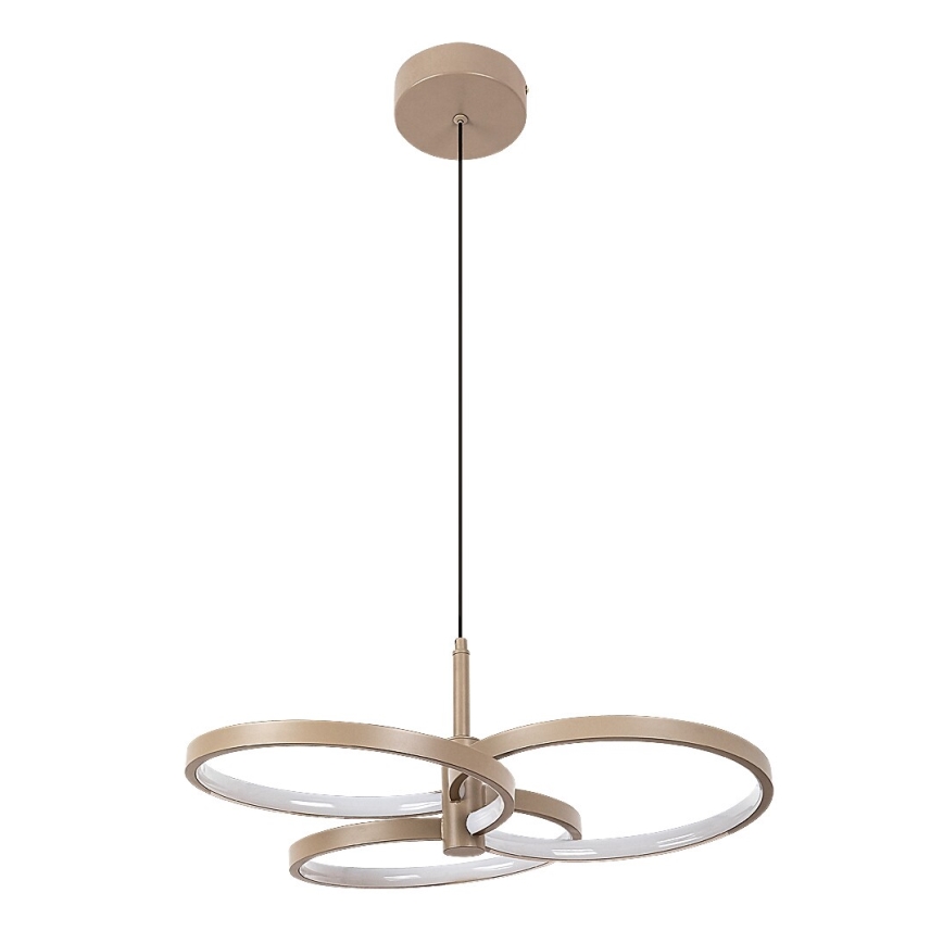 Rabalux - LED prigušiva luster na sajli LED/50W/230V 3000-6500K + daljinski upravljač