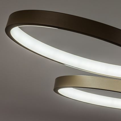 Rabalux - LED prigušiva luster na sajli LED/50W/230V 3000-6500K + daljinski upravljač