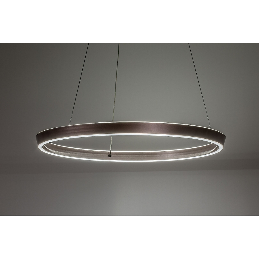 Rabalux - prigušiva LED lampa na sajli LED/70W/230V 3000-6500K + daljinski upravljač
