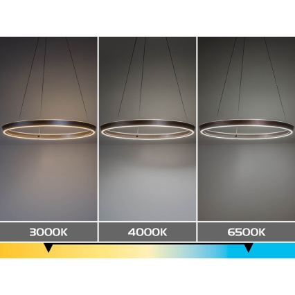 Rabalux - prigušiva LED lampa na sajli LED/70W/230V 3000-6500K + daljinski upravljač