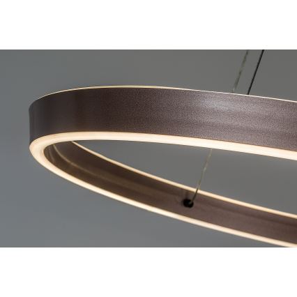 Rabalux - prigušiva LED lampa na sajli LED/70W/230V 3000-6500K + daljinski upravljač