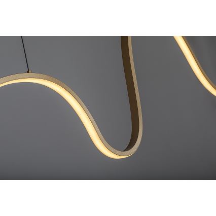 Rabalux - LED luster na sajli LED/20W/230V 3000K